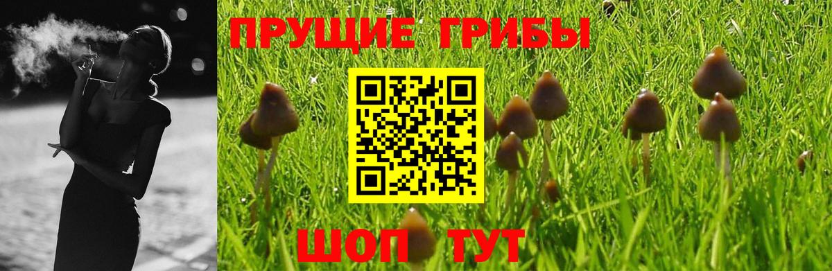 Псилоцибиновые грибы Cubensis  Вход с VPN  Баксан  Галлюциногенные грибы GOLDEN TEACHER 